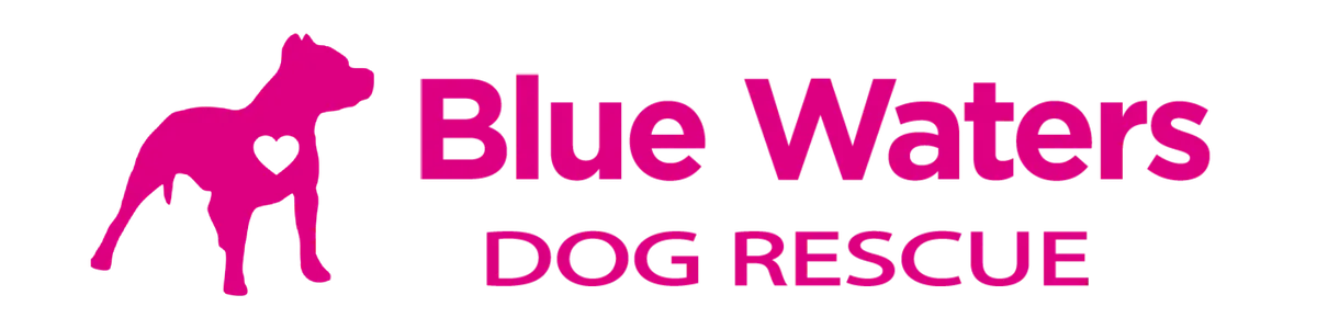 Blue Waters Dog Rescue