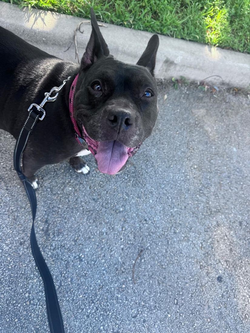 Lady on a walk