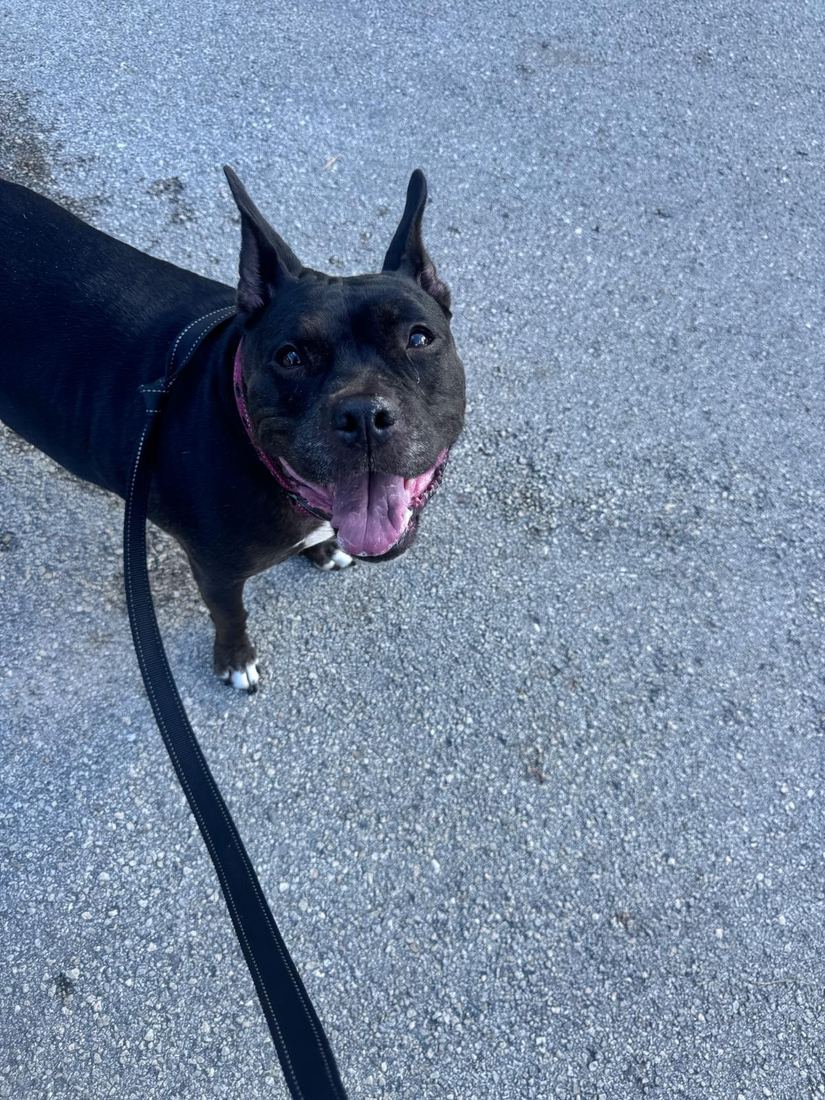 Lady looking up on a walk