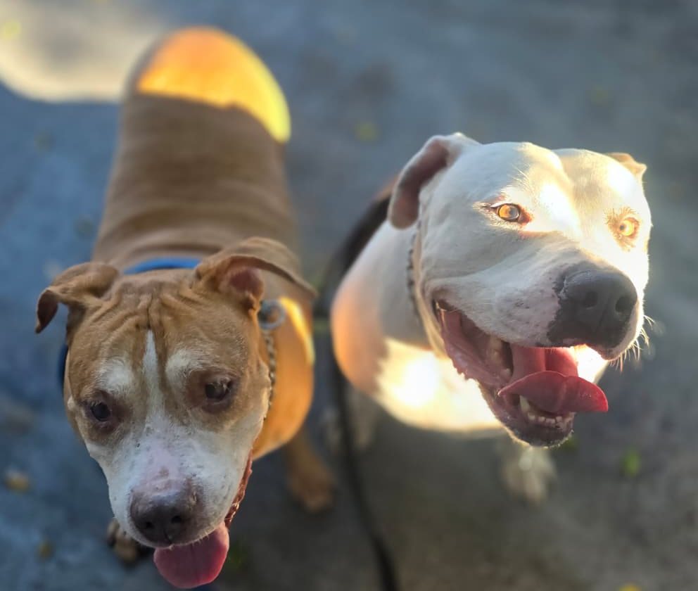 Debarkus (right) with Hughy